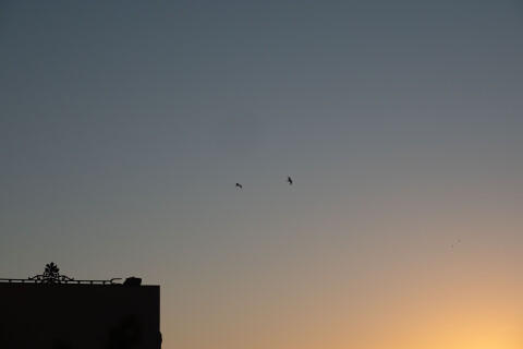 DSC03305